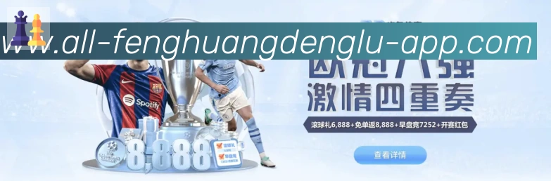 未来规划