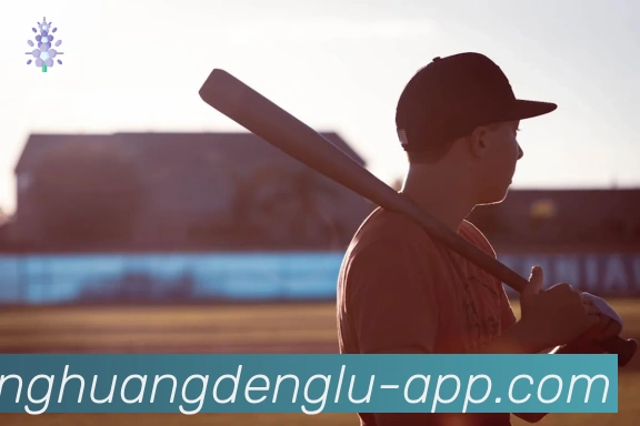 凤凰彩票登录入口APP 封面图